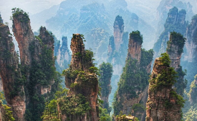 Rock Pillars in Forest — Green, Serene, Photograph, Trees