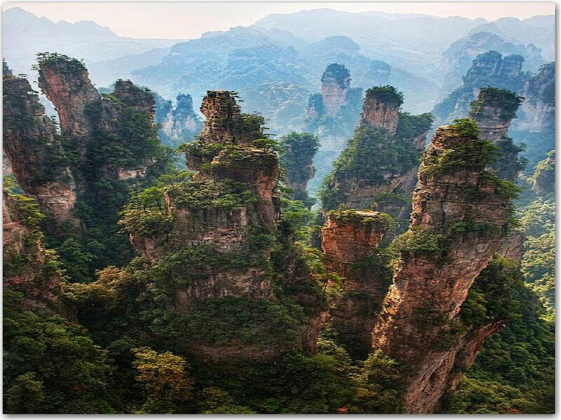 Rock Pillars in Forest — Green, Serene