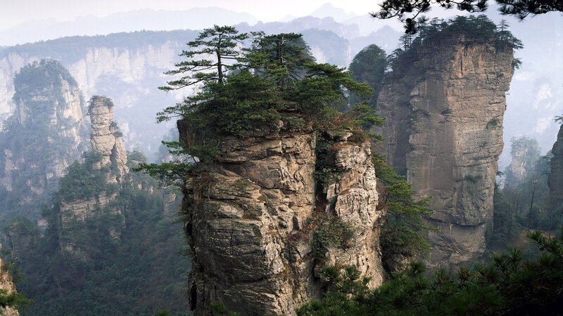 Rock Pillars with Trees