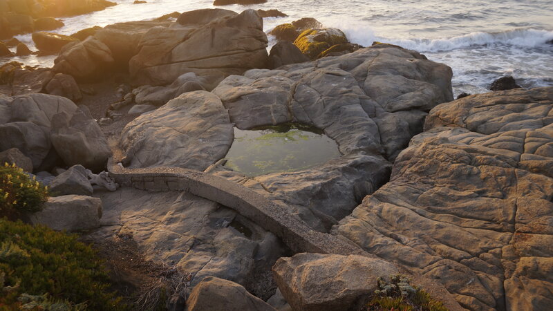 Rock Pool at Coastline — Brown