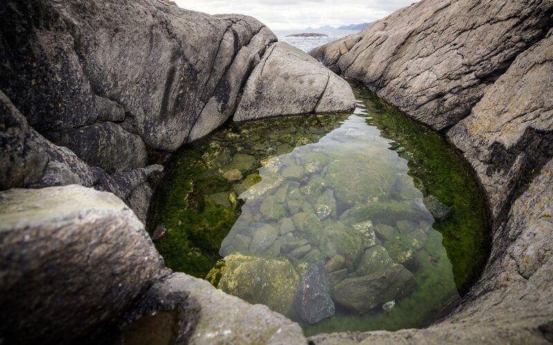 Rock Pool in Coastal Area