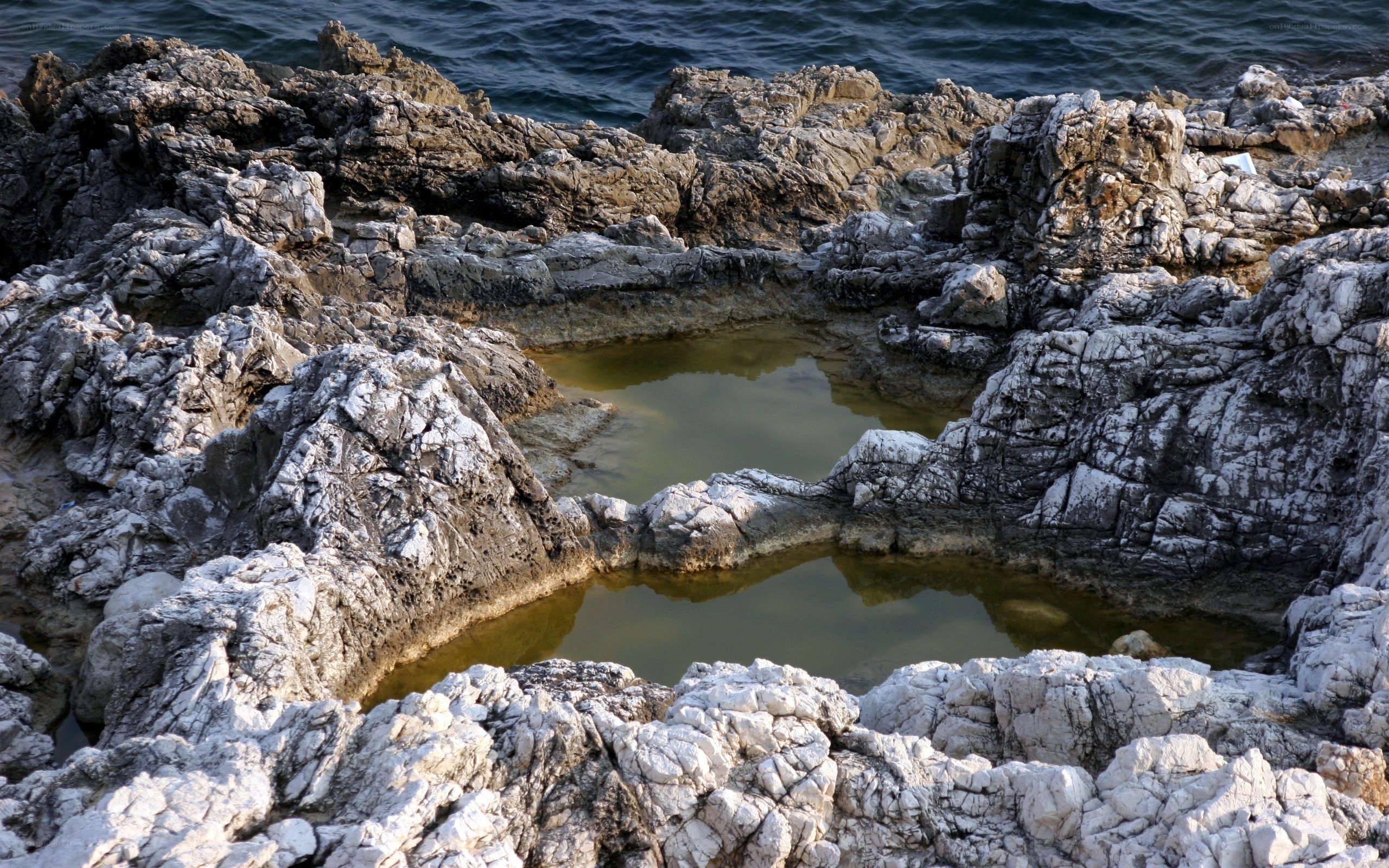 rock pools at the seashore