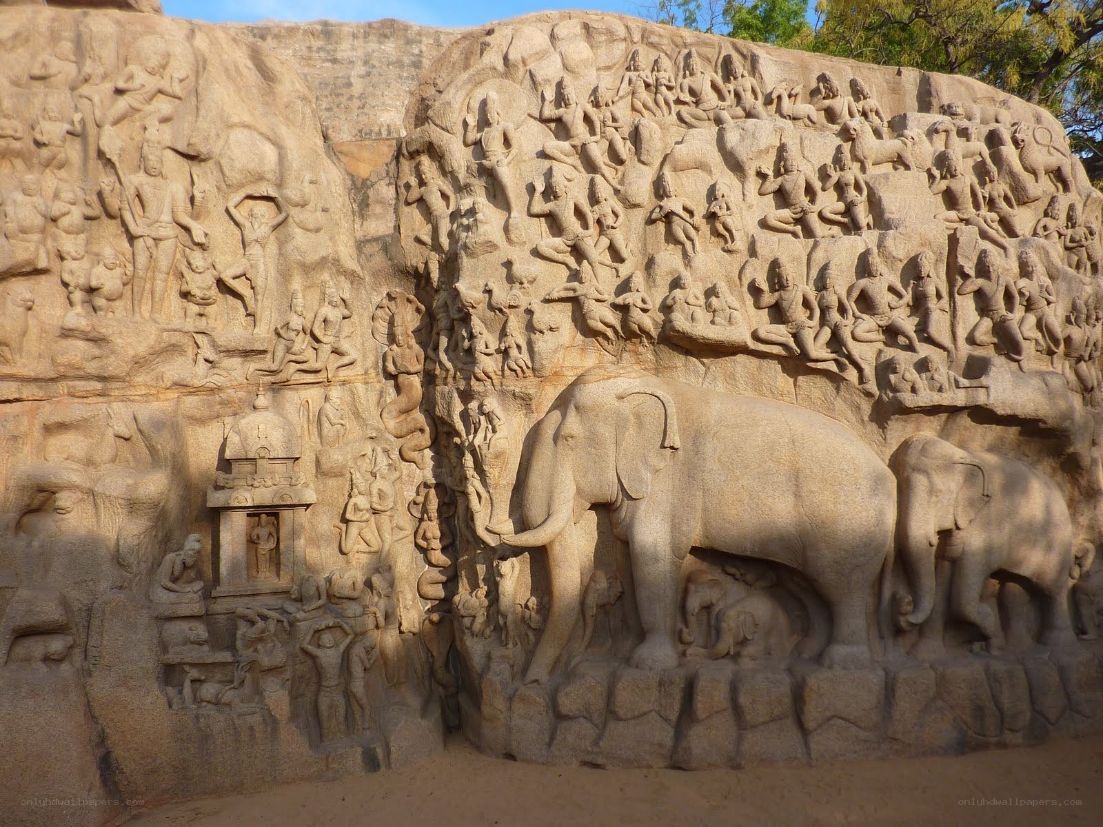 Rock relief at Mahabalipuram