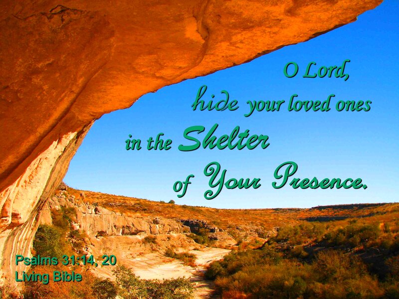 Rock Shelter with Desert View