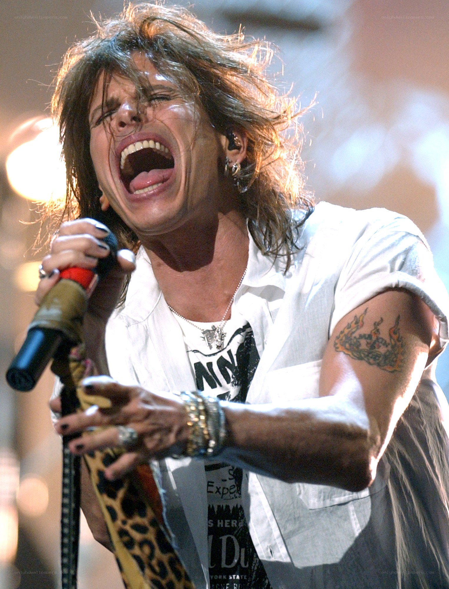 rock singer performing on stage