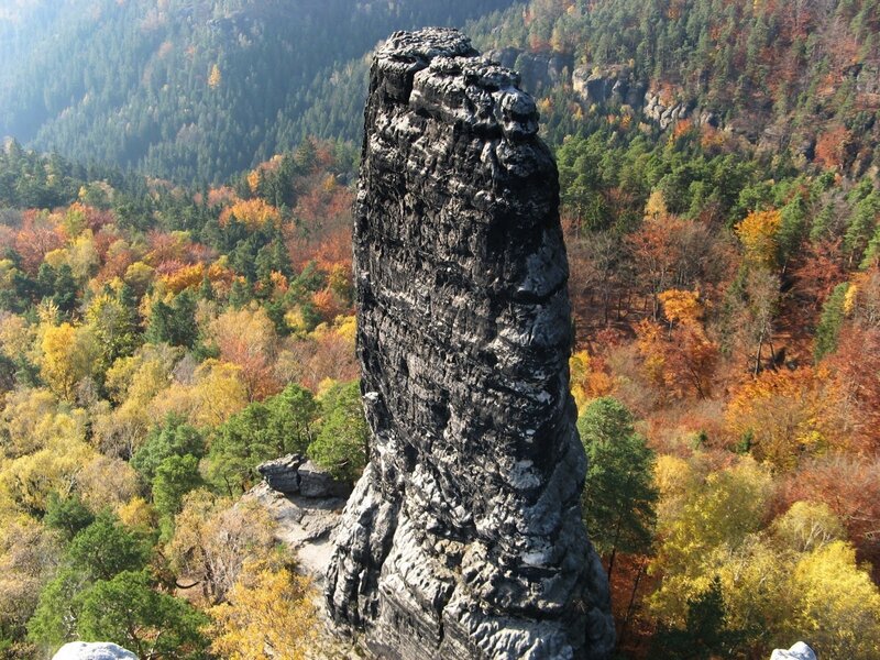 Rock Spire in Forest