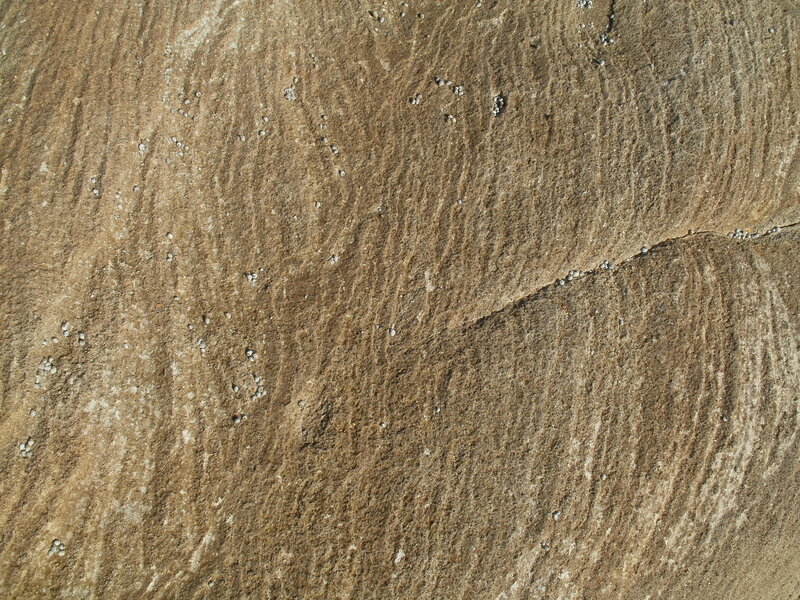 Rock Surface with Barnacles