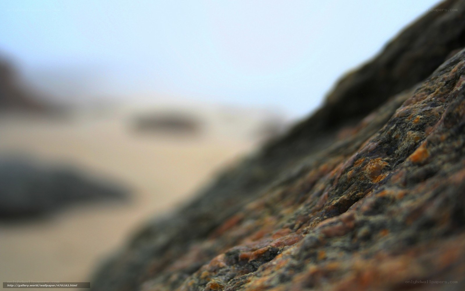 rock texture on beach