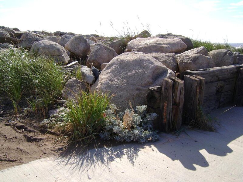rock wall at beachside walkway