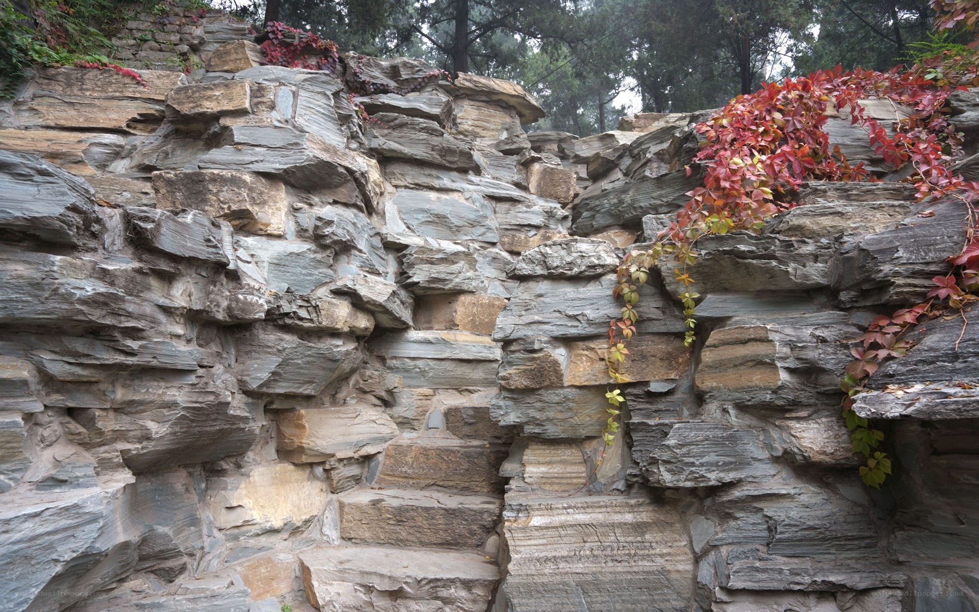 rock wall with autumn vines