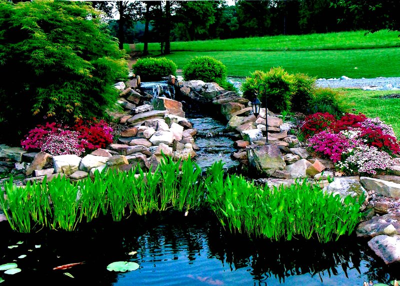 Rock Waterfall Garden — Green, Serene, Afternoon, Photograph, Flowers