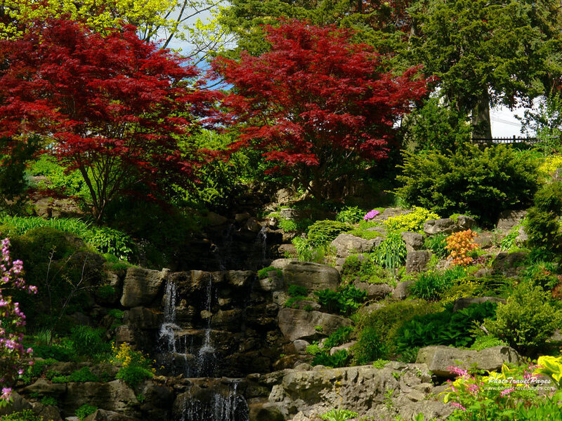 Rock Waterfall Garden — Red