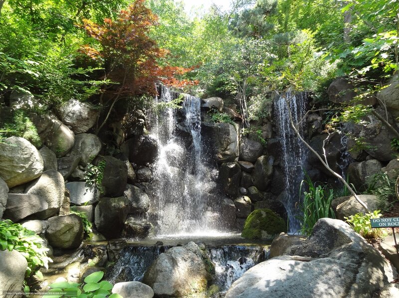 Rock Waterfall in Forest