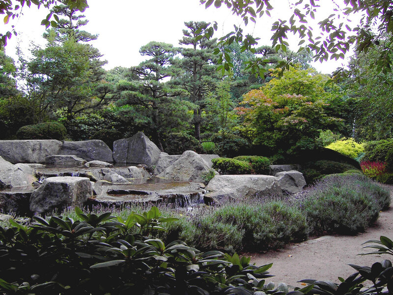 Rock Waterfall in Garden — Green, Serene, Afternoon, Photograph, Trees