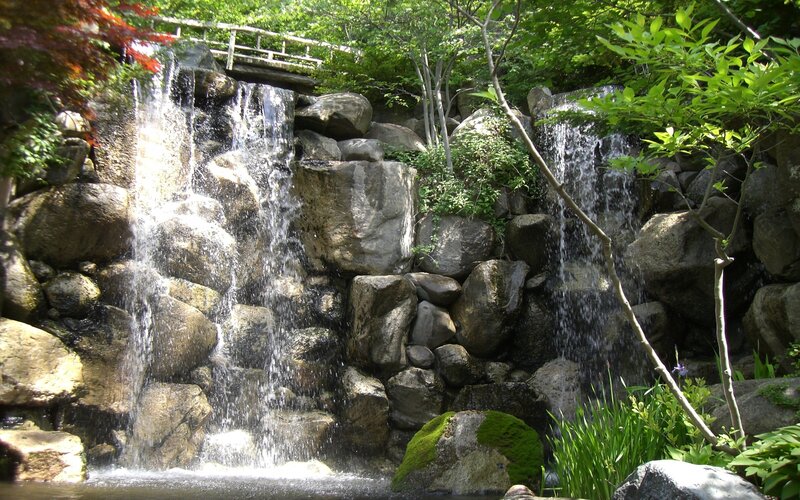 Rock Waterfall in Garden — Green, Serene, Afternoon