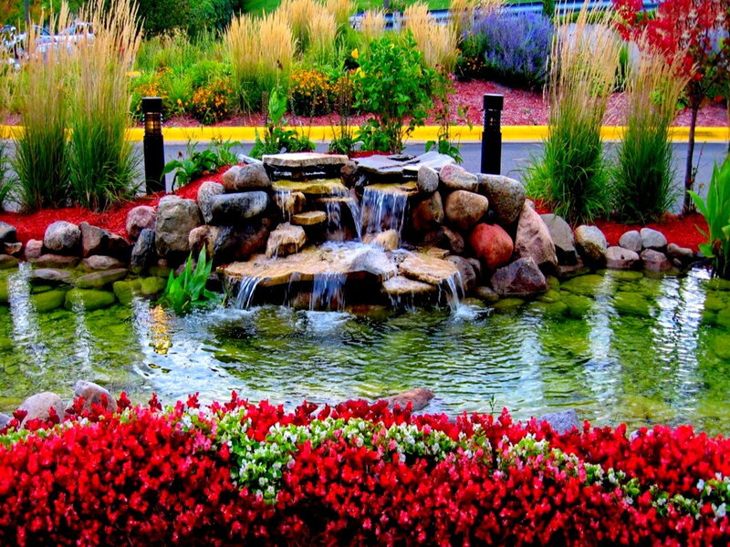 Rock Waterfall Pond — Red, Serene