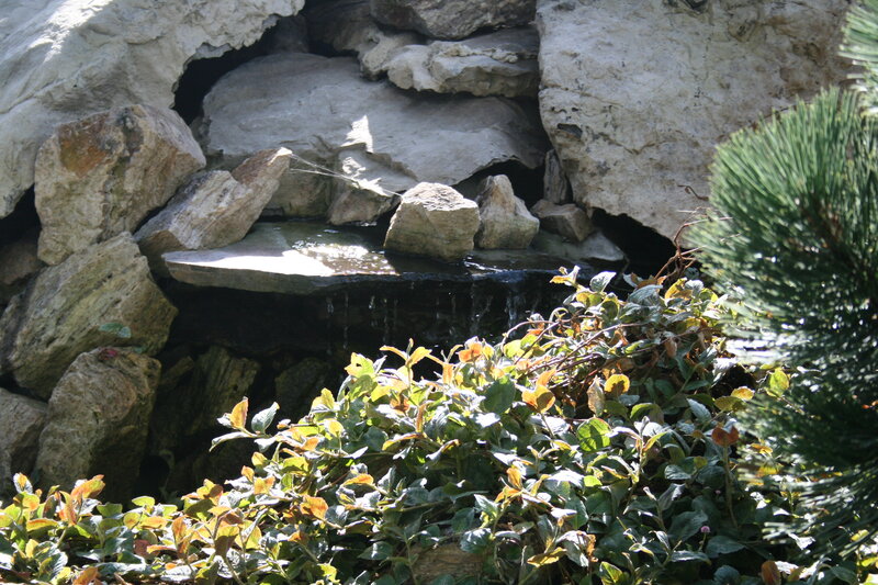 Rock Waterfall with Plants