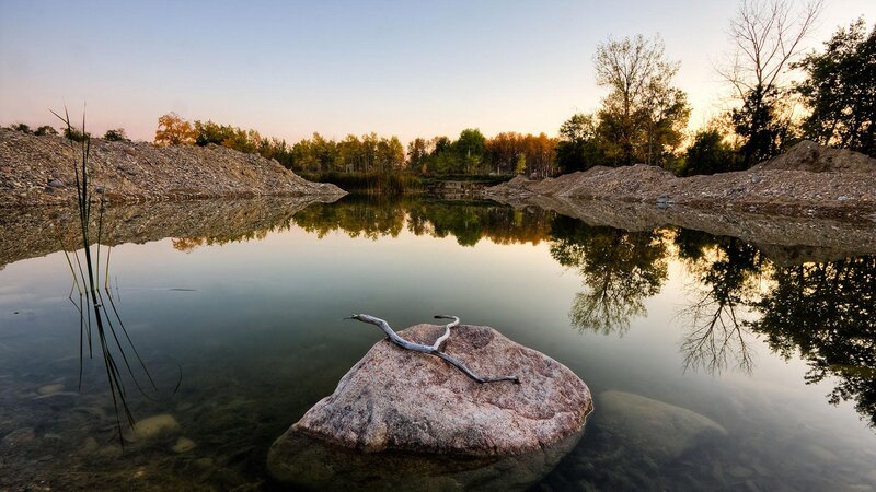Rock with Driftwood in Pond — Green, Serene, Sunset