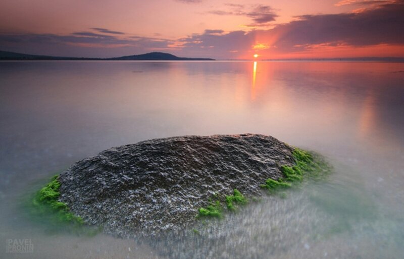 Rock with Green Algae