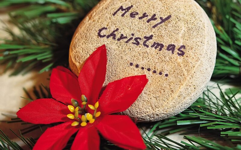 Rock with Poinsettia — Red, Festive, Winter