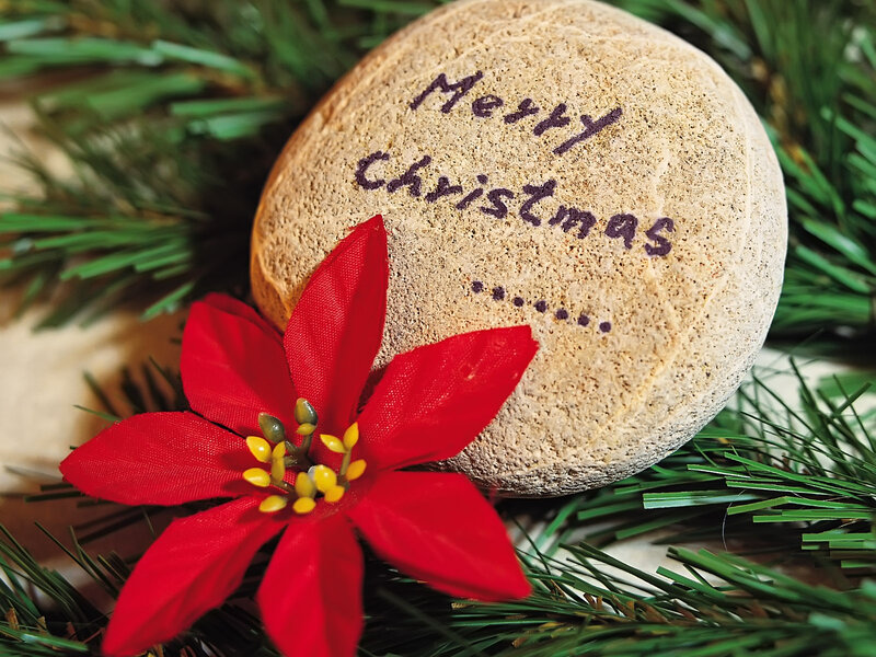 Rock with Poinsettia