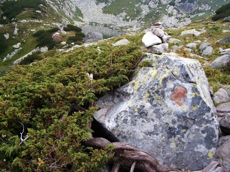 Rock with Stacked Stones