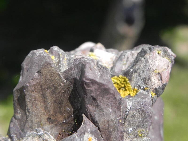 rock with yellow lichen