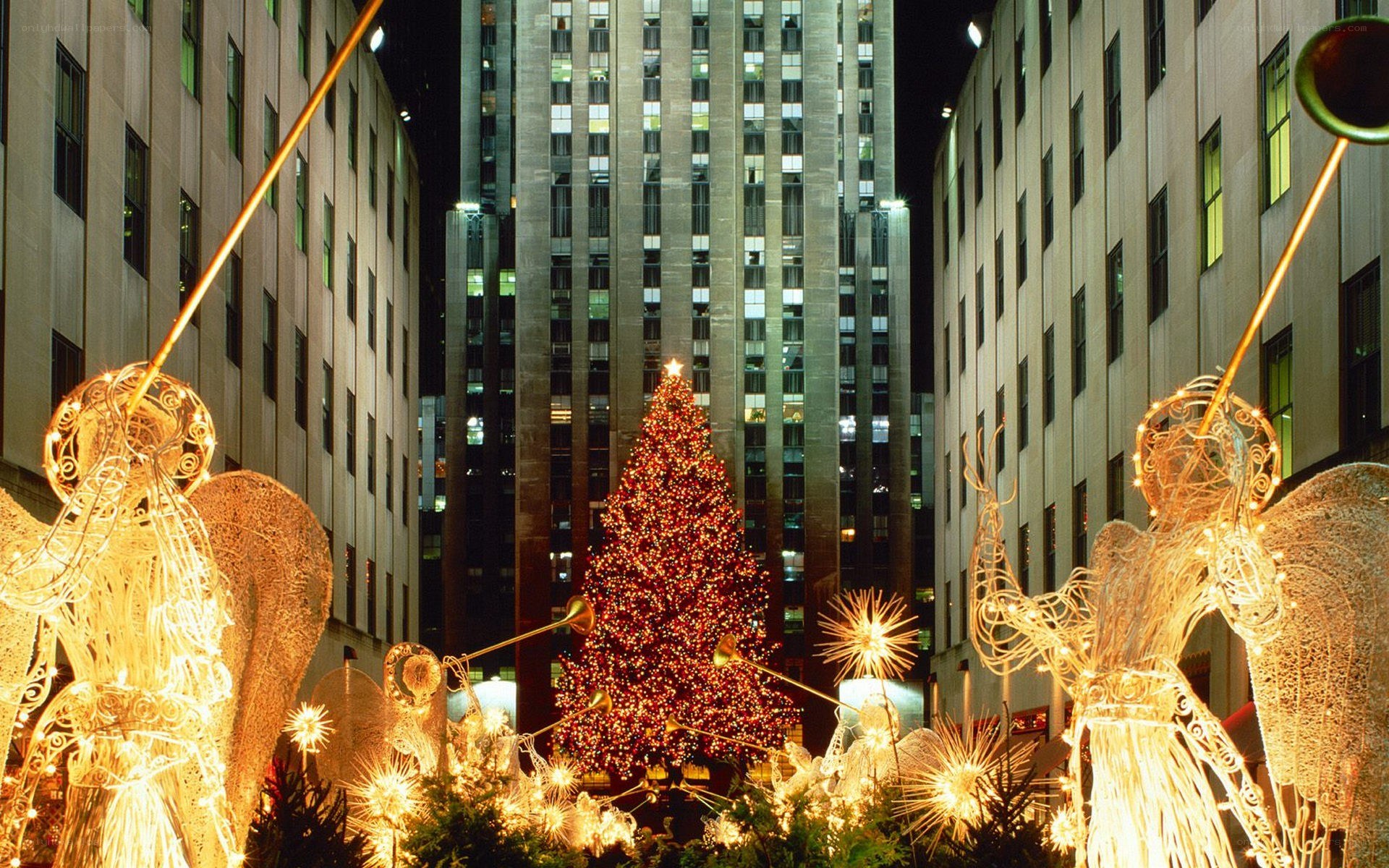 Rockefeller Center Christmas Tree