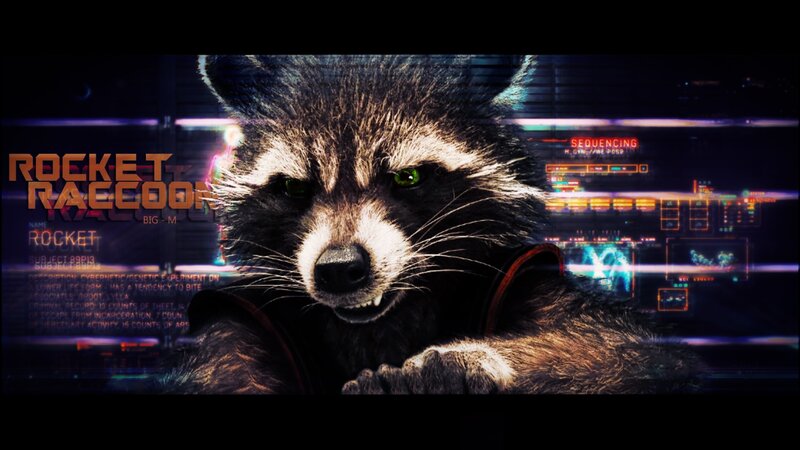 Rocket Raccoon Character