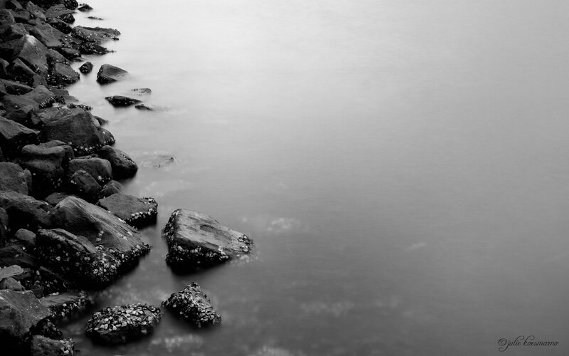 Rocks Along Water Edge