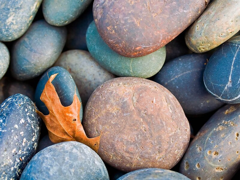 rocks and a fallen leaf