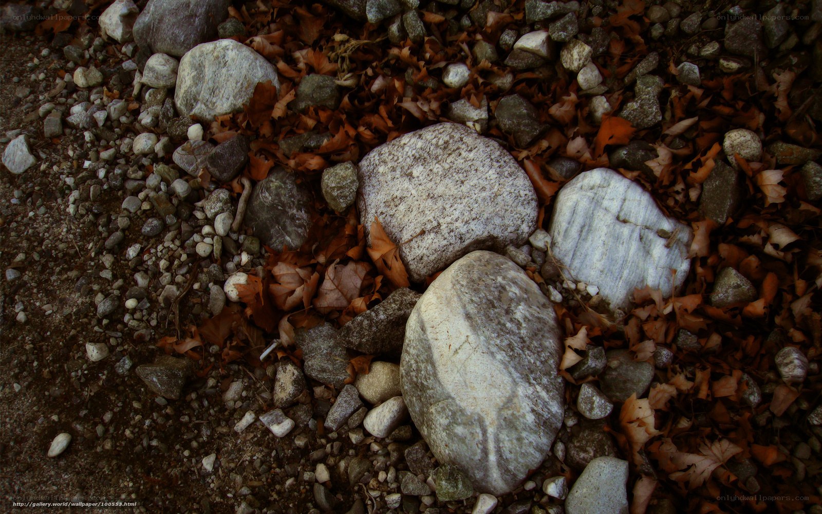rocks and autumn leaves