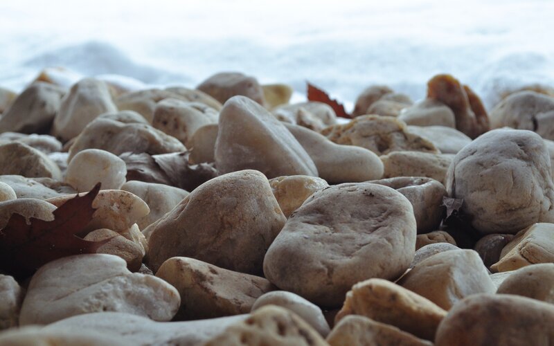 rocks and fallen leaves