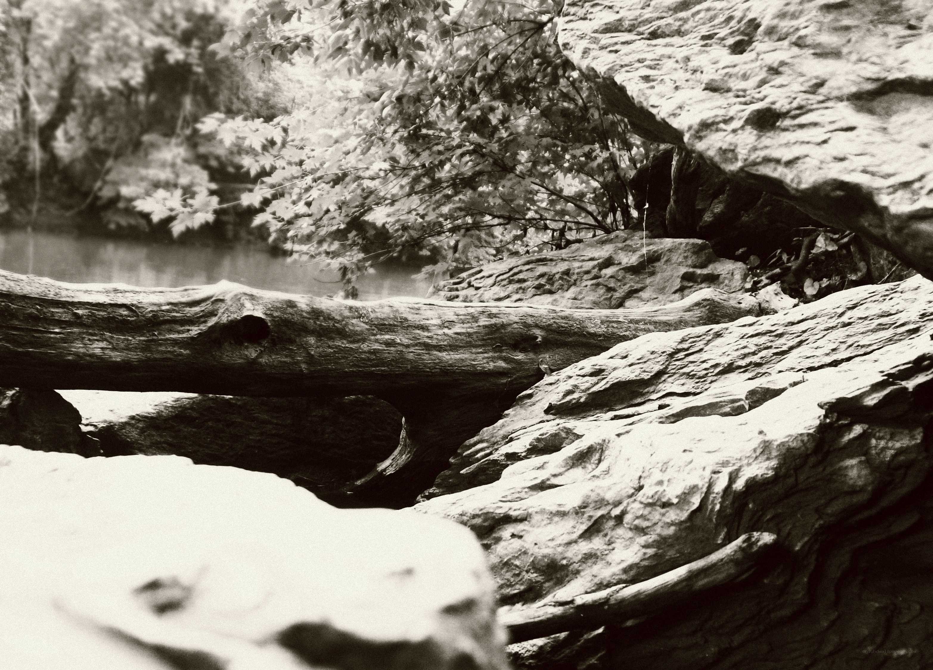 Rocks and fallen log by river