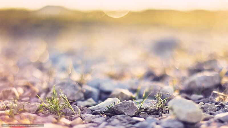 rocks and grass at sunset
