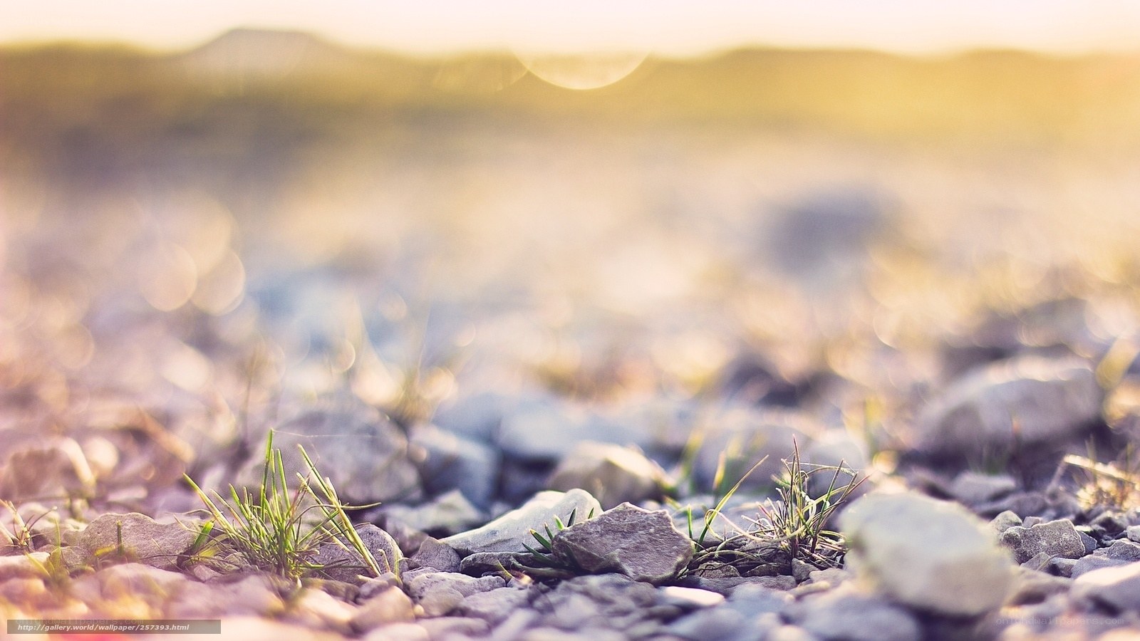 rocks and grass at sunset