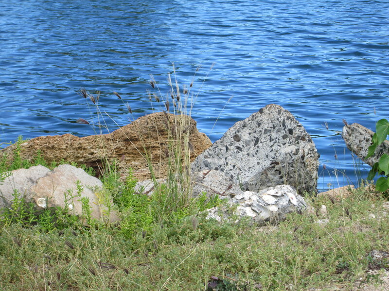 Rocks and Grass by Water