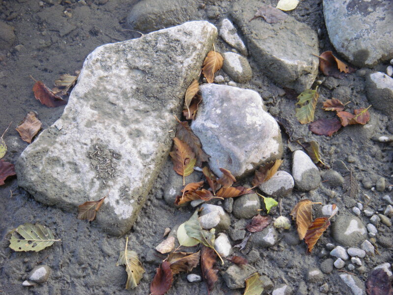 rocks and leaves in a stream