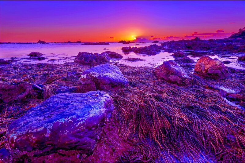 Rocks and Seaweed at Sunset
