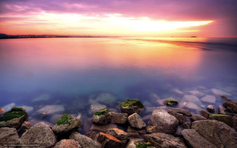 Rocks at Ocean Shore — Purple