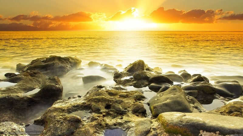 Rocks at Ocean Shoreline — Yellow, Serene