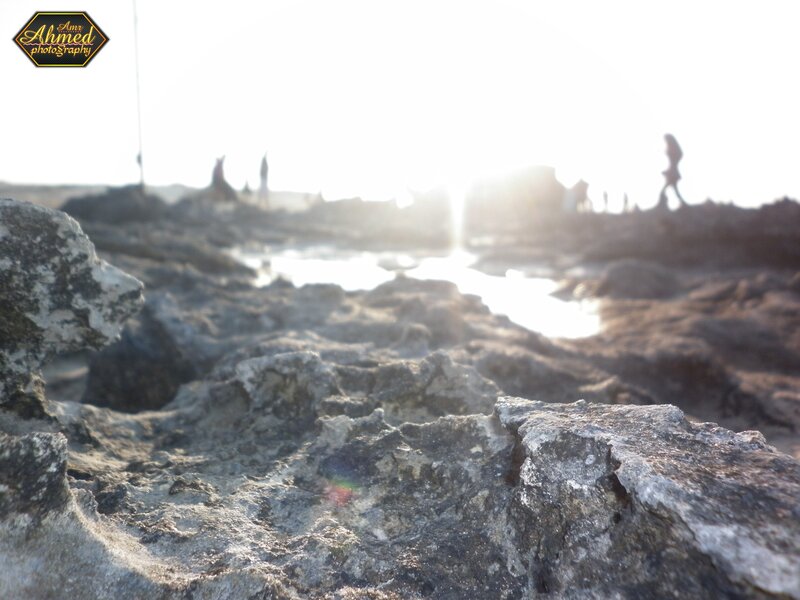 Rocks at the beach with silhouettes
