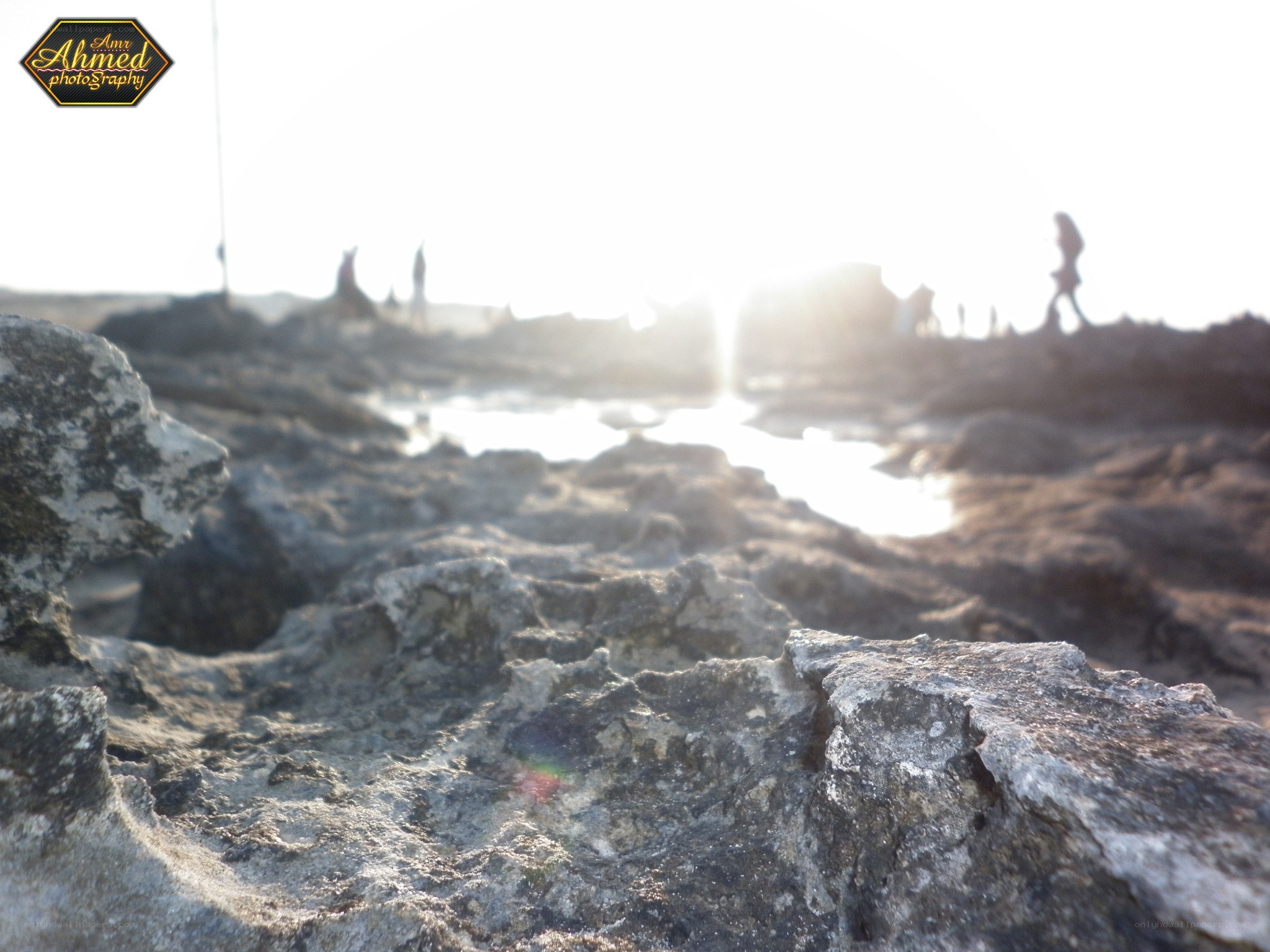 Rocks at the beach with silhouettes