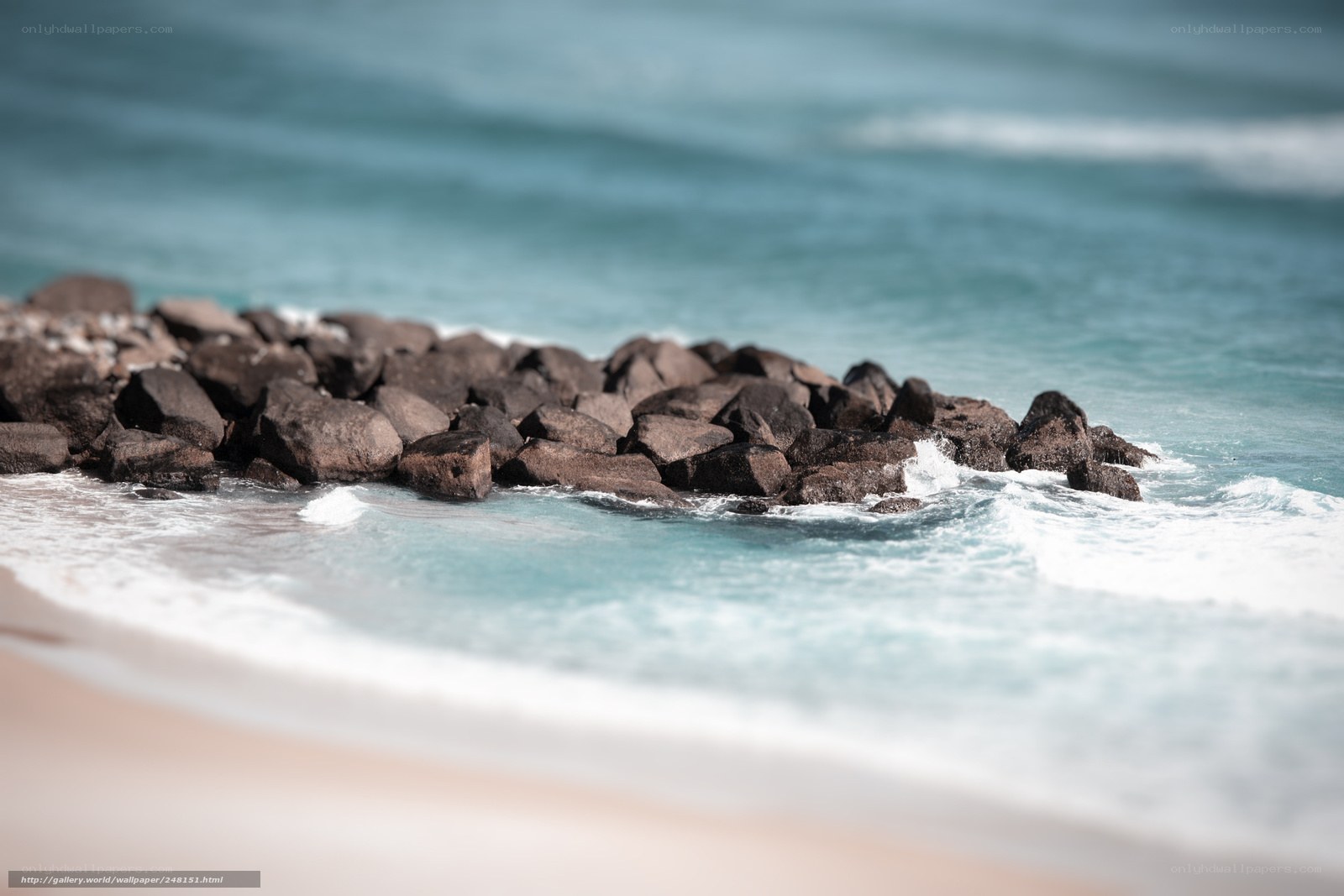 rocks at the shoreline