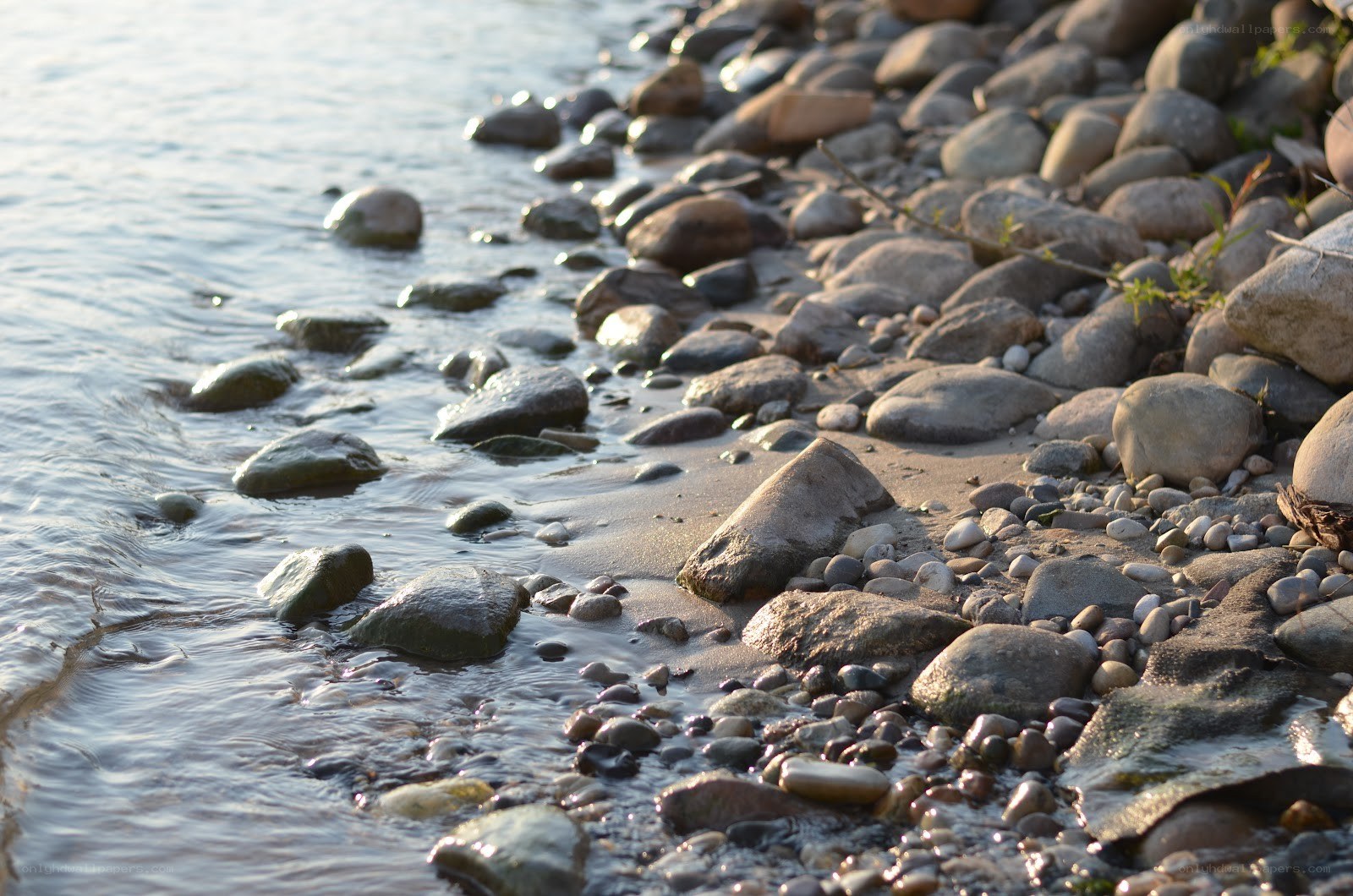 rocks at the water's edge