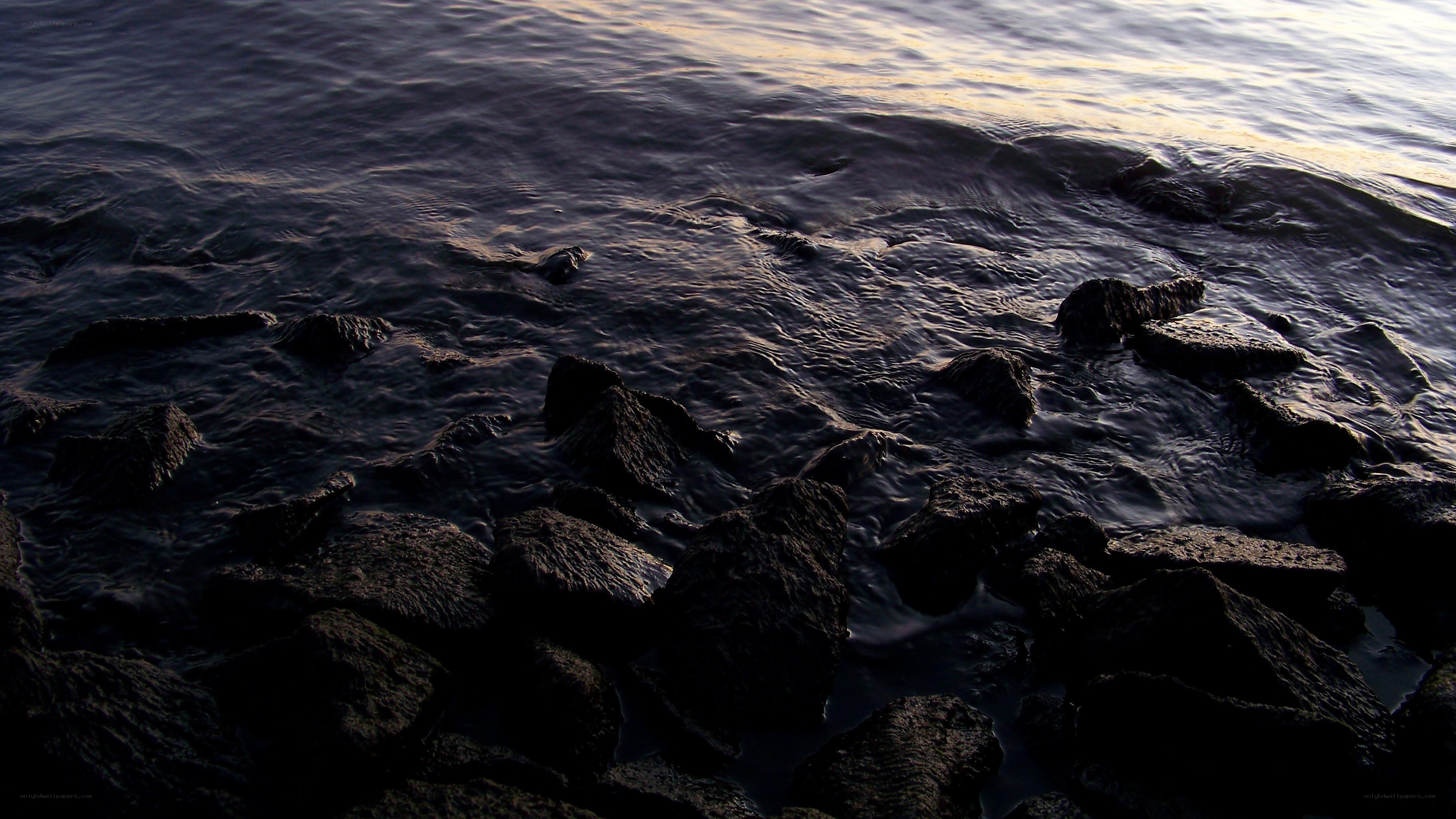 rocks at the water's edge