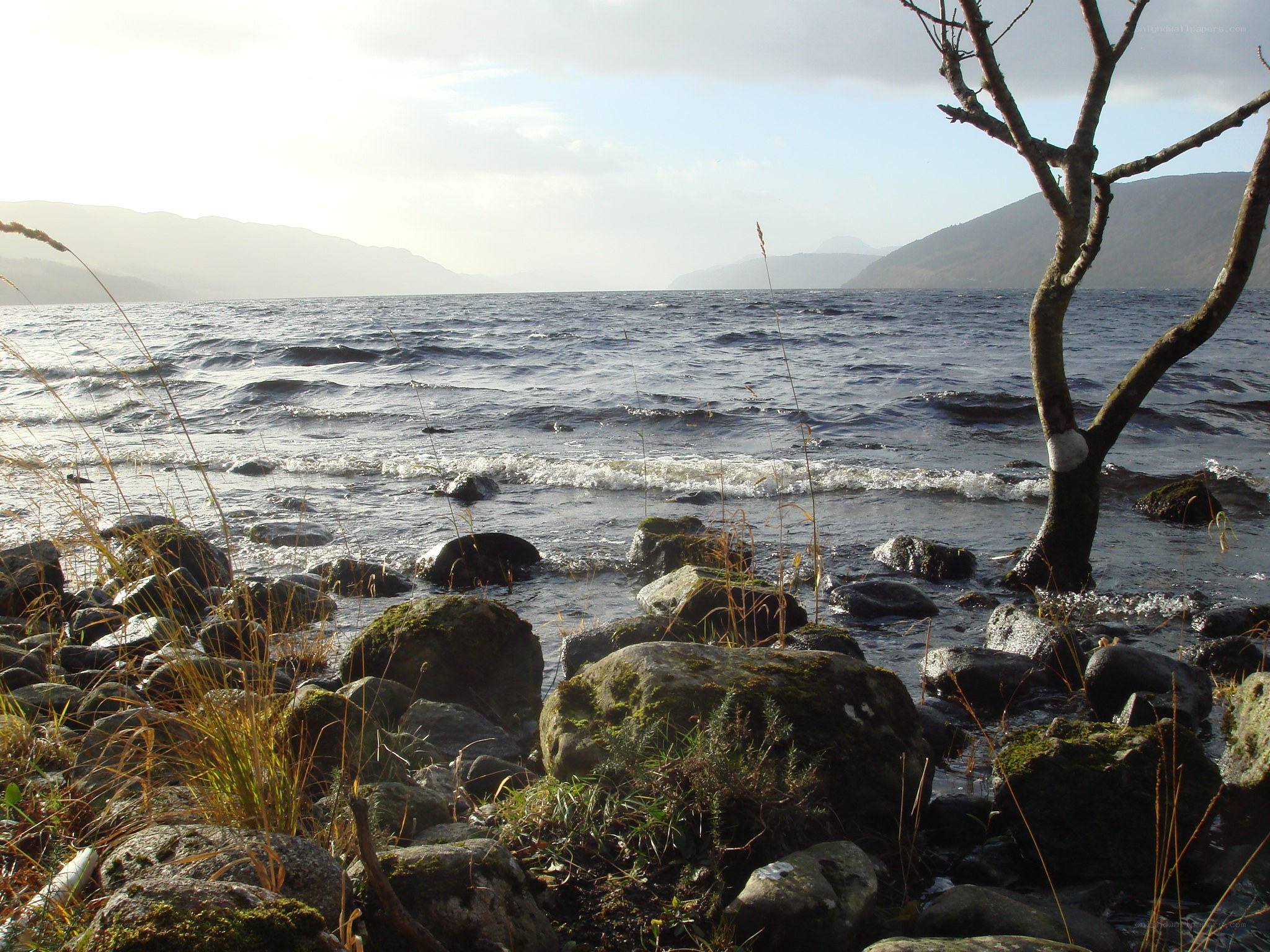Rocks by the lake shore