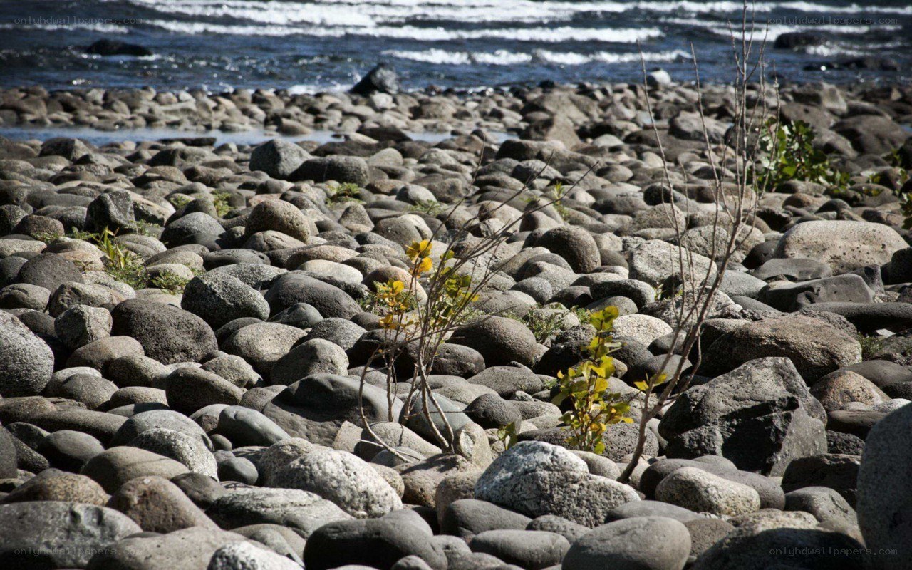 rocks by the riverbank
