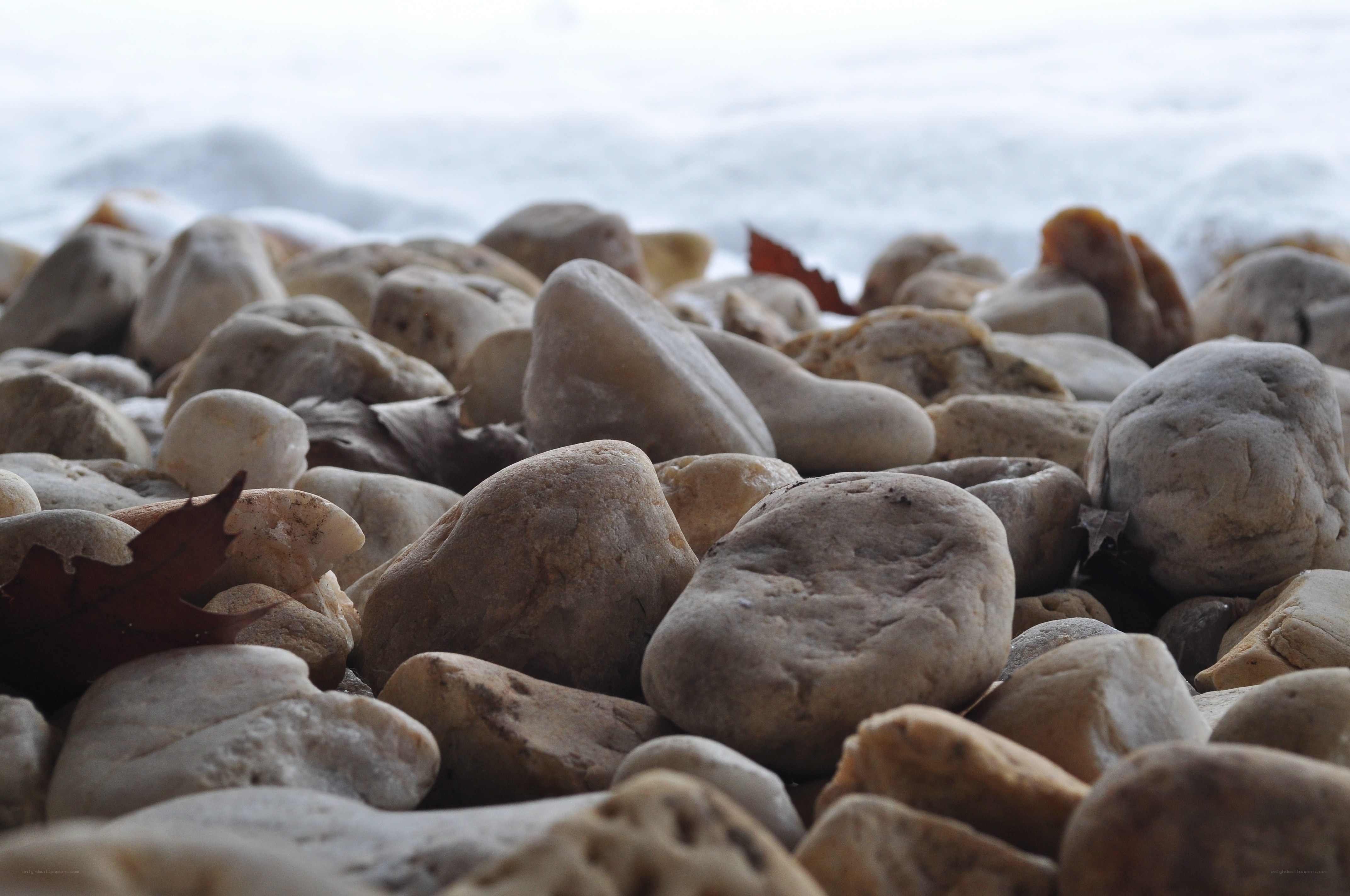 rocks by the water's edge