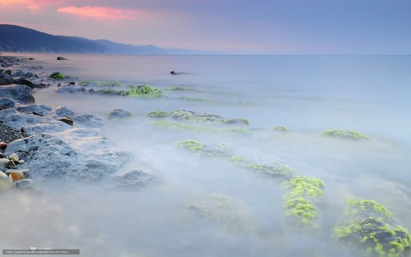 Rocks Covered in Algae — Blue